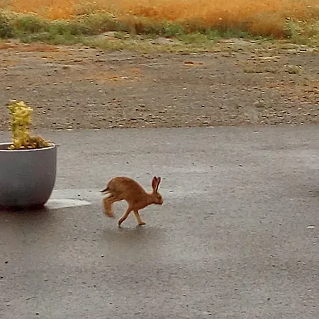 Oda ve Kahvaltı La Jacotiere 3*